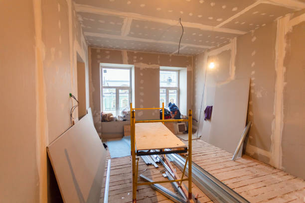 Best Ceiling Drywall Installation  in Lake St Louis, MO